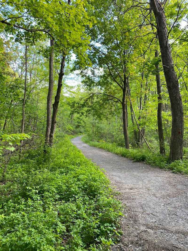 The Trail System That Fits Almost Every Pace And Preference