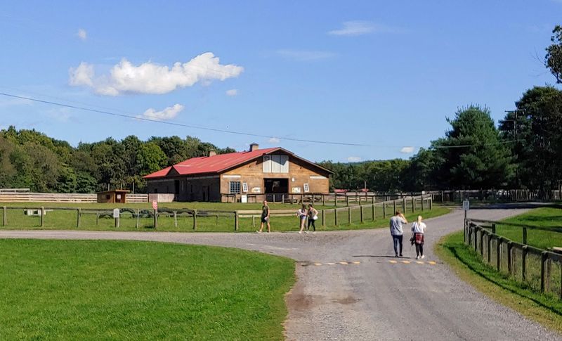 Woodstock Farm Sanctuary Puts Down Roots At 2 Rescue Rd