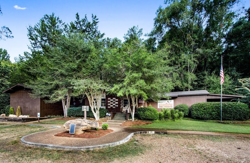Mississippi Petrified Forest And Why Flora, MS Deserves A Detour