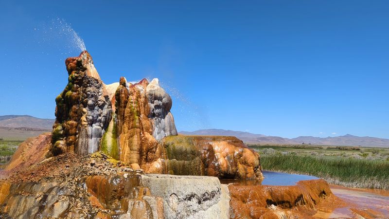 The Colors Come From Heat-Loving Algae