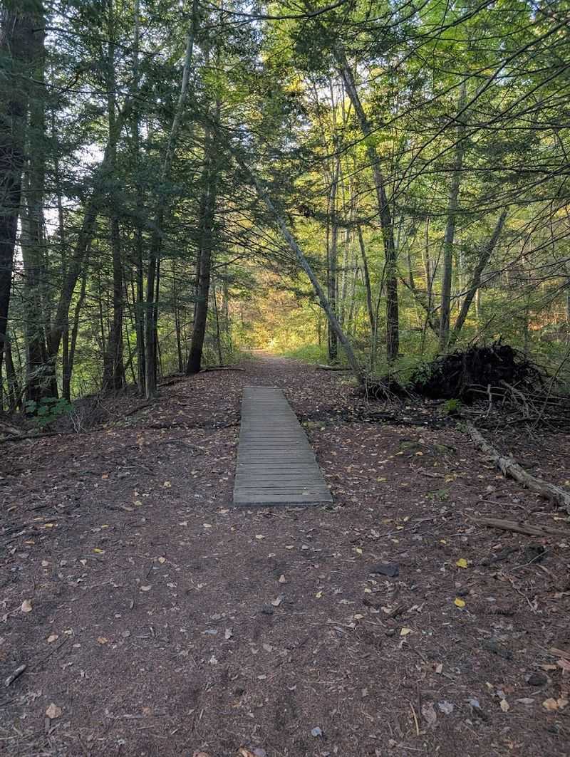 Hiking Trails That Reward Every Skill Level