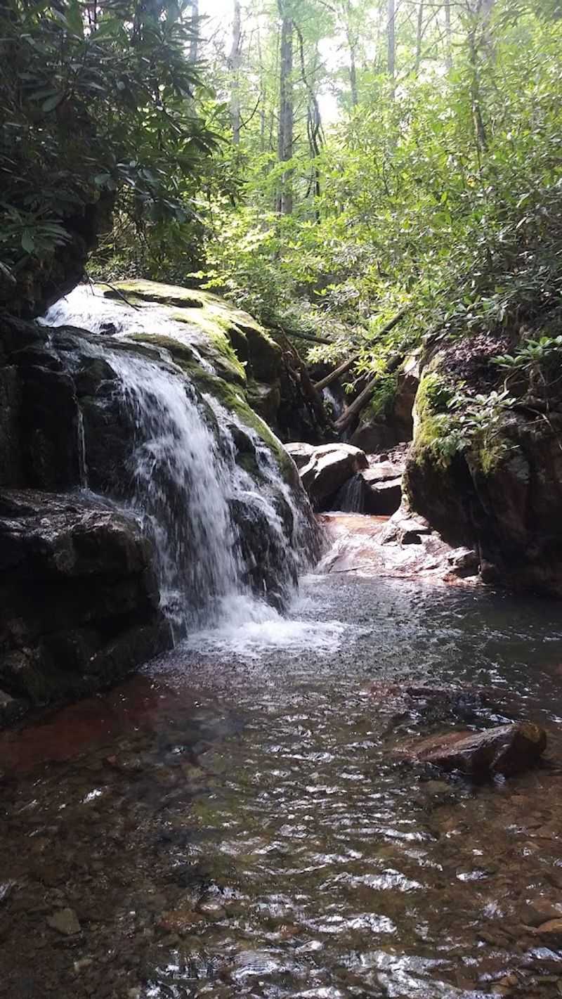 The Hiking Trail That Feels Just Right For Almost Any Visitor
