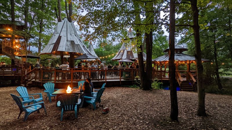 The Story Behind Blueberry Treehouse Farm