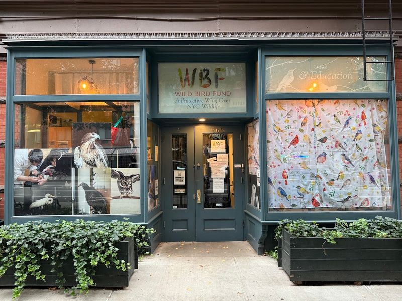 Wild Bird Fund At 565 Columbus Avenue