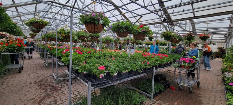 More Than 30,000 Square Feet Of Plant Shopping
