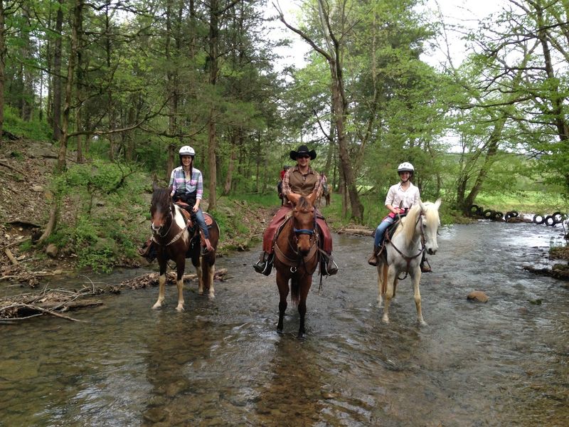 Your Own Horse For The Entire Stay
