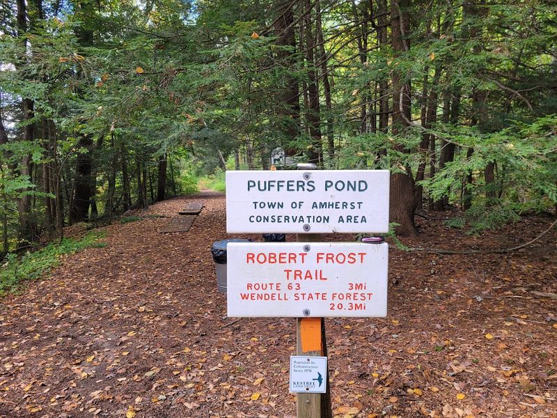 Practical Tips For Planning Your Visit To Puffers Pond