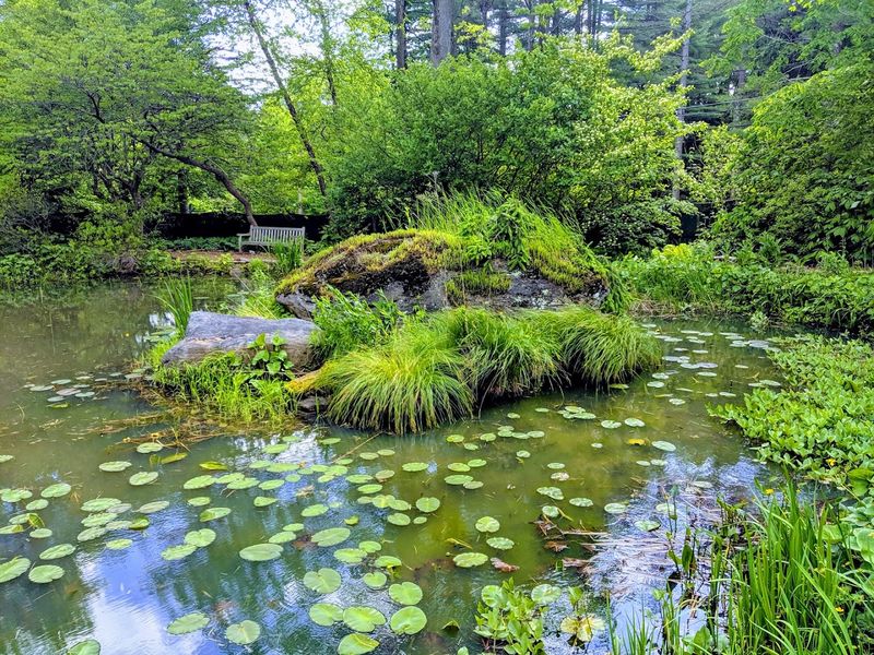 The Pond Garden And Rock Garden Offer Quiet Moments Worth Savoring