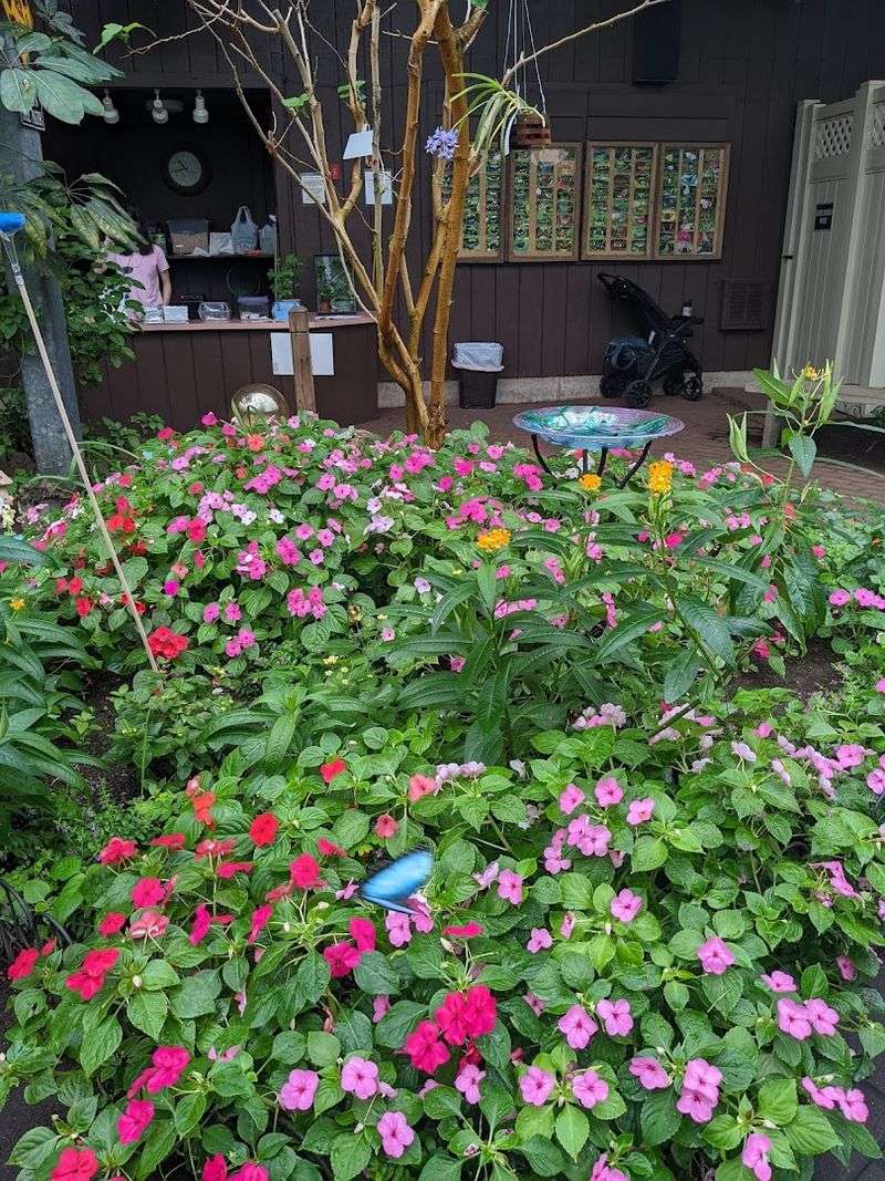 The Butterfly Place, Westford