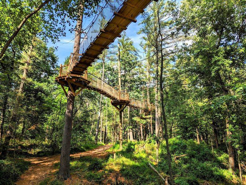 Mystic Forest Suspended Treewalk Adds A Dry-Land Adventure