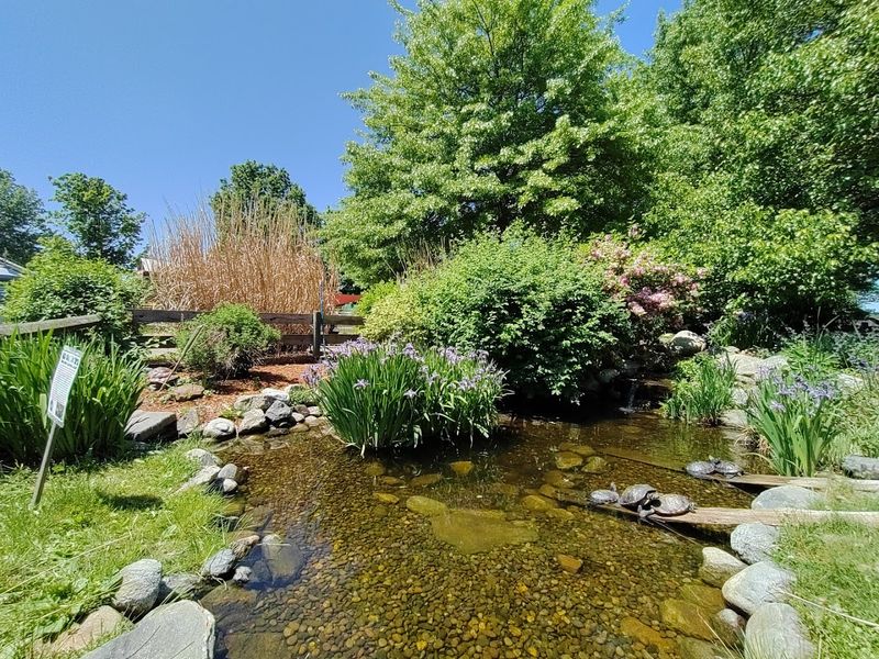 Imagine Acres Offers Sensory Play For The Youngest Visitors