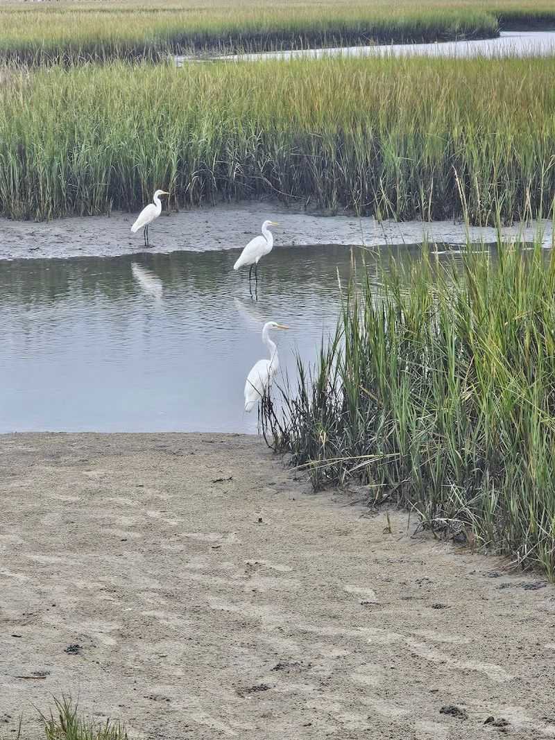 Scenic Nature Trails And Bird Watching Spots