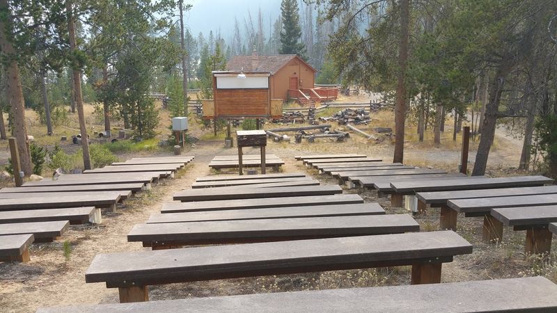 Activities To Connect With Nature Without Breaking The Bank