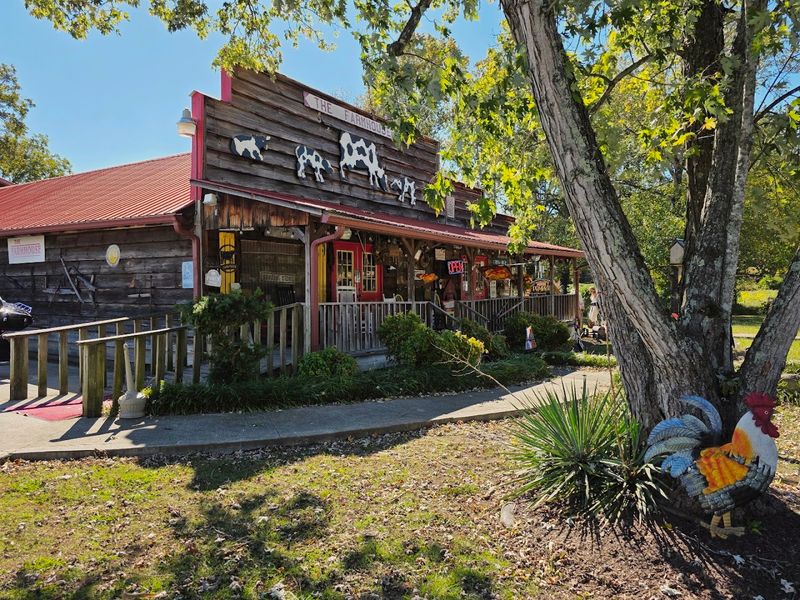 Why This Spot Draws Visitors From Beyond Etowah