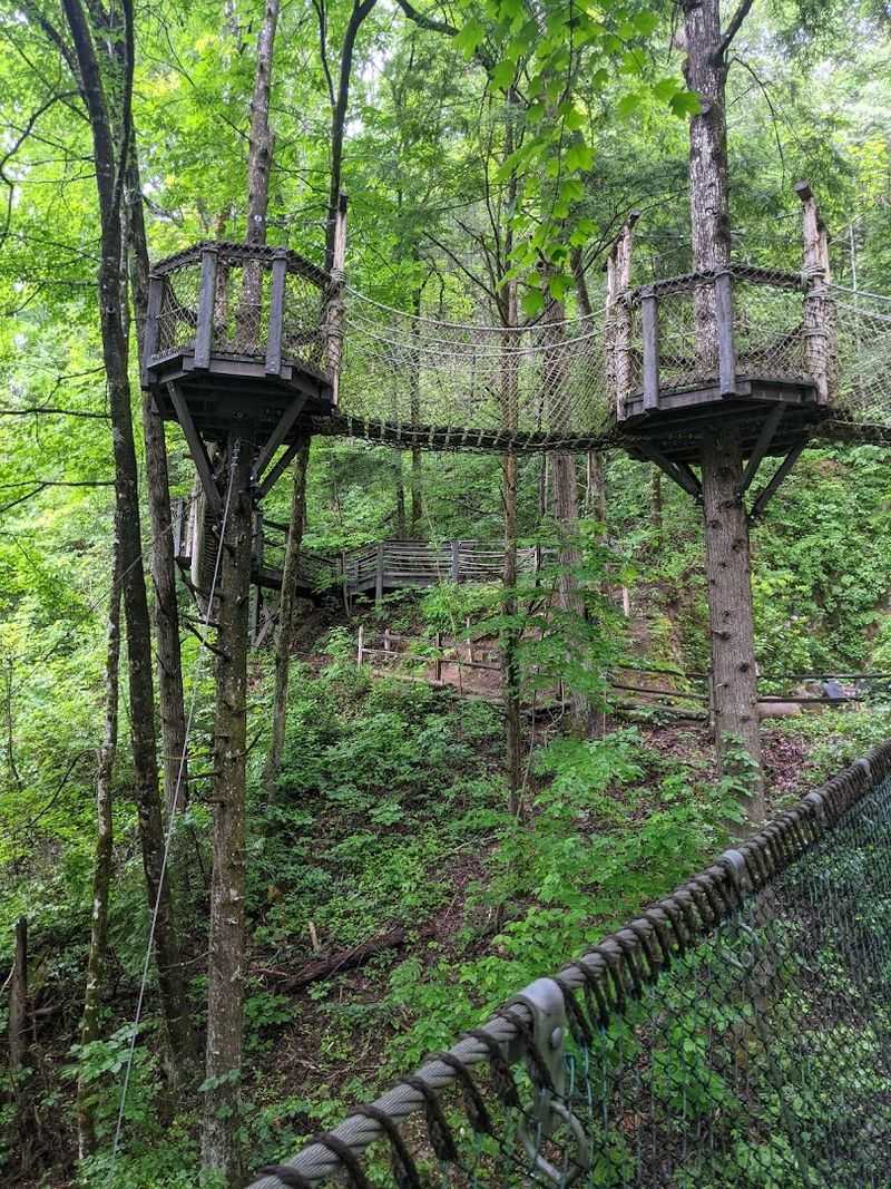150 Acres Of Forest, Creeks, And Pure Mountain Air