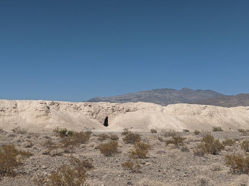 The Desert Setting Makes The Fossil Story Feel Even Stranger