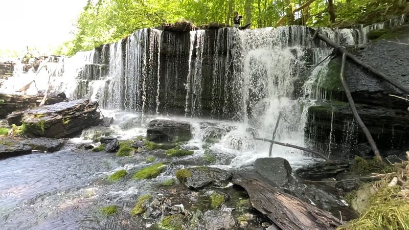 Conservation Efforts That Keep This Place Worth Visiting