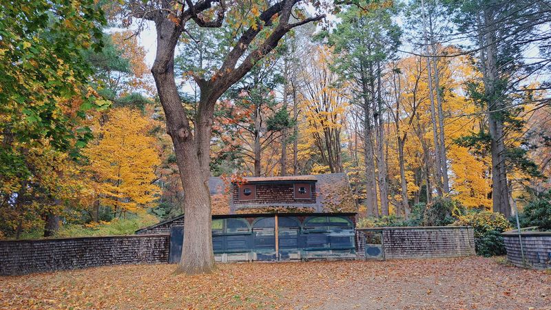 Practical Visitor Information That Makes Planning Easy