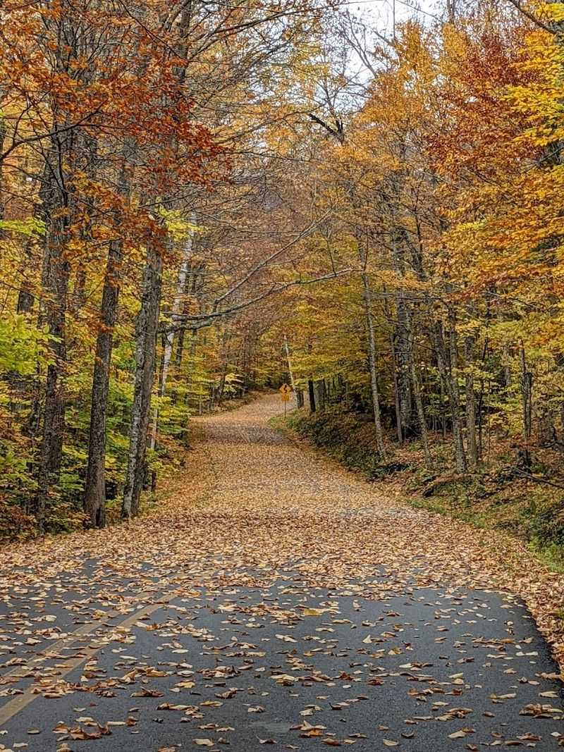 Lincoln Gap Road