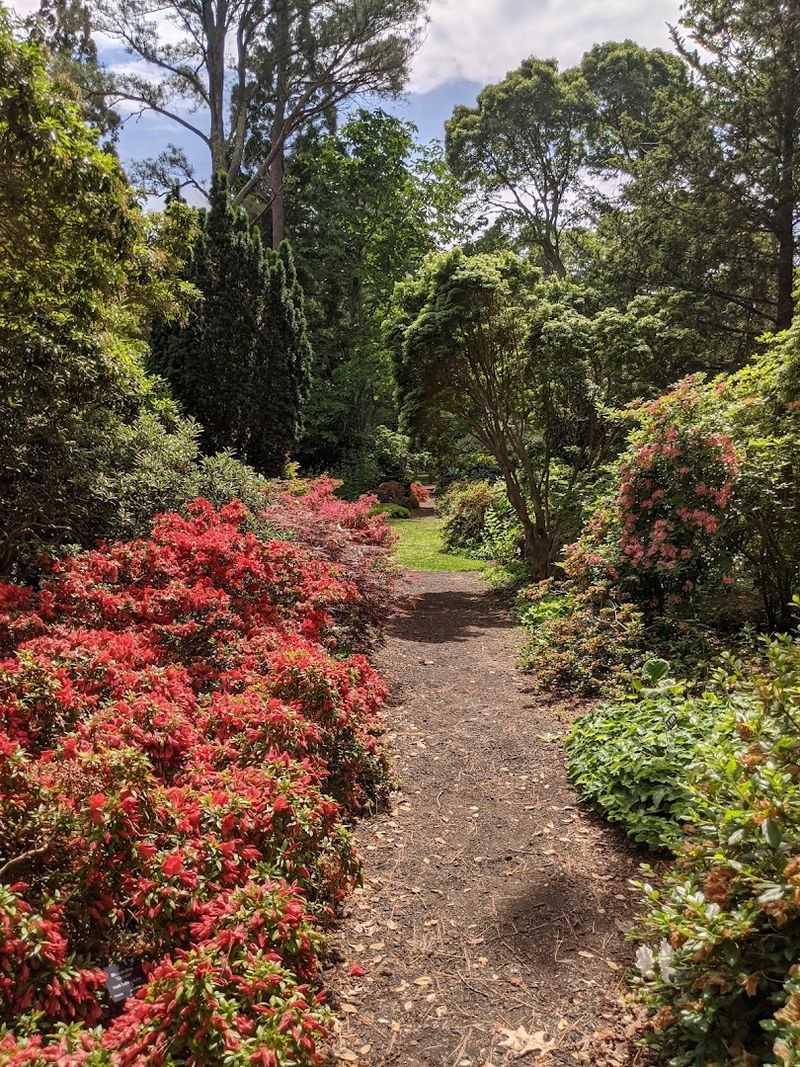 Polly Hill Arboretum, West Tisbury