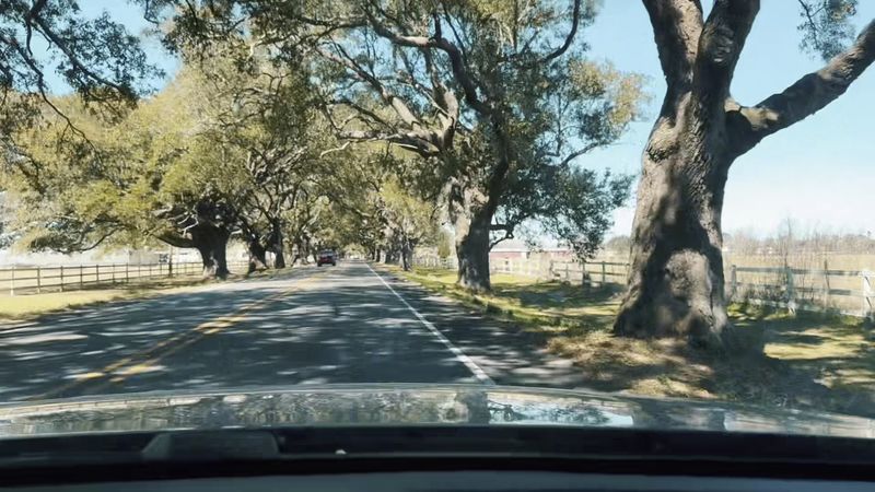 Explore A Living Piece Of Louisiana History