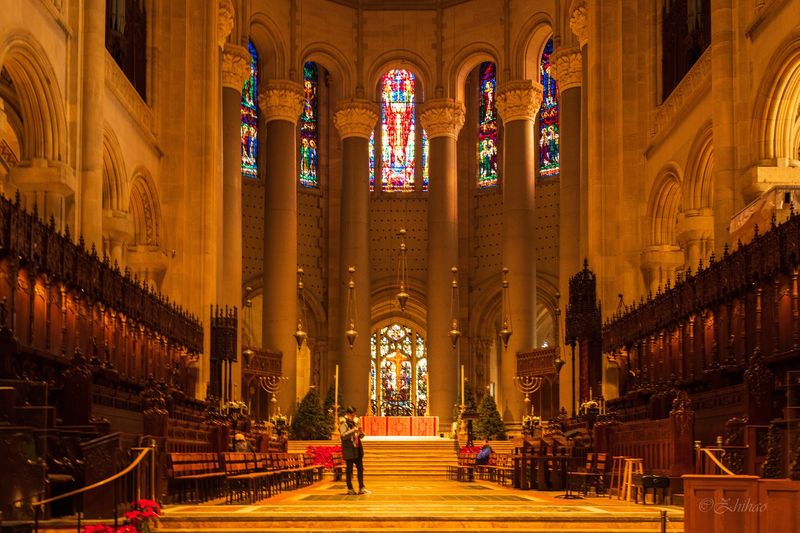 The Pipe Organ And Acoustics That Move You Physically