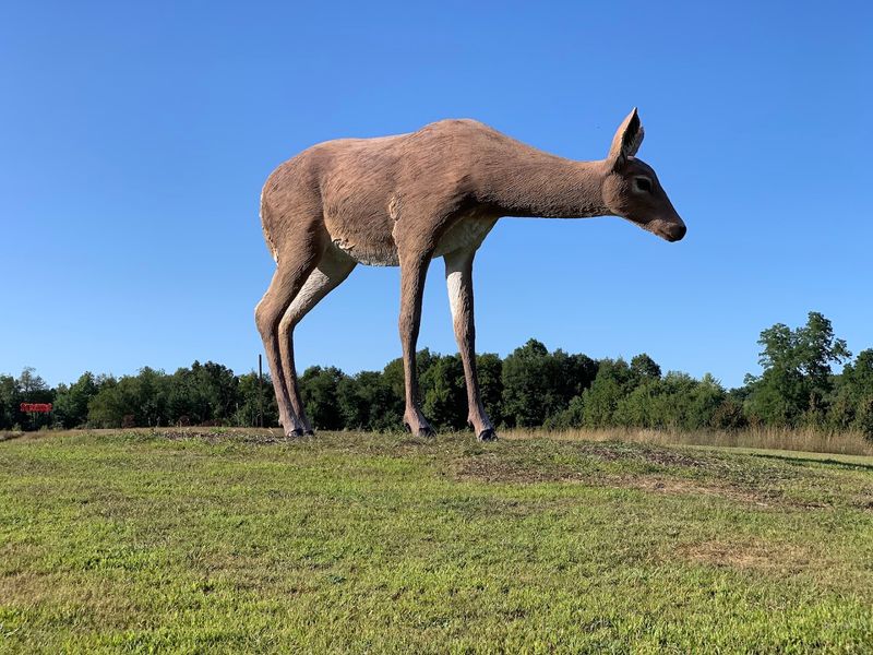 Sculptures Built For More Than Just Looking