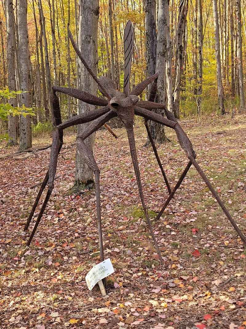 Griffis Sculpture Park — East Otto