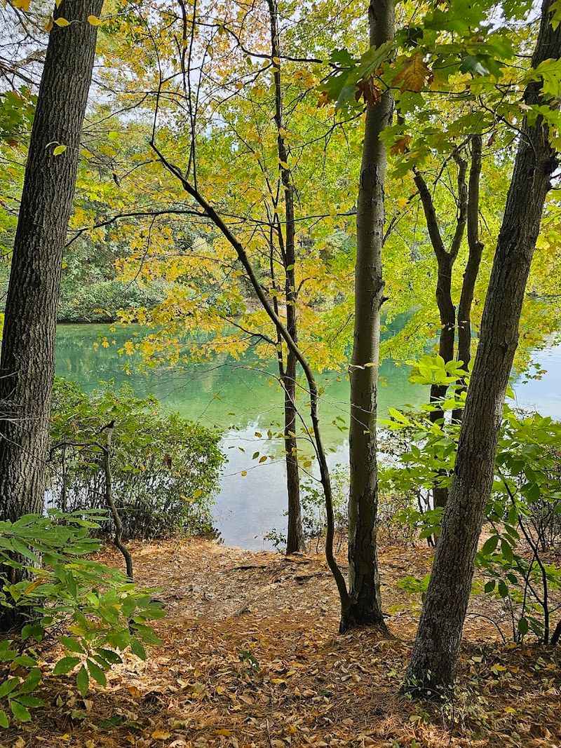 Walden Pond, Concord