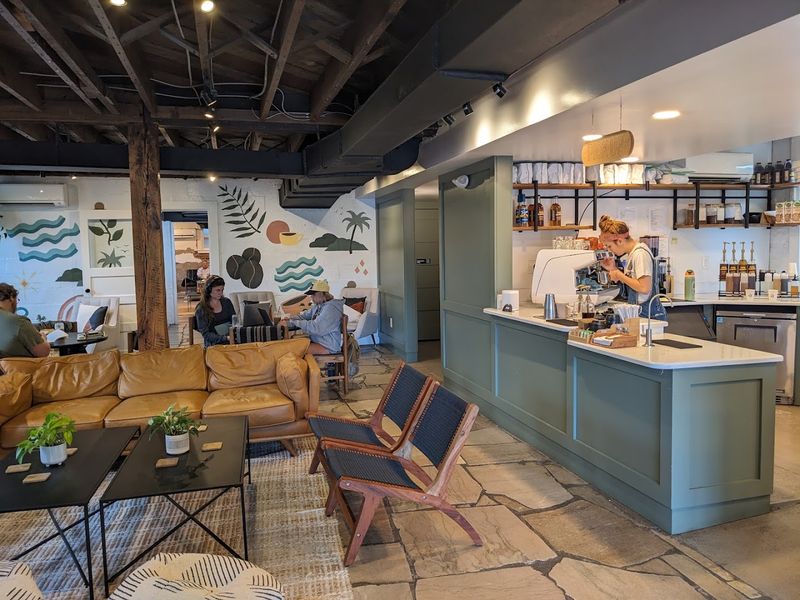 Seed Coffee Co, Knoxville