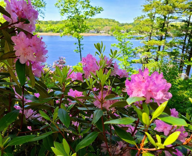 The Merrimack River Frontage Offers Views Worth The Walk