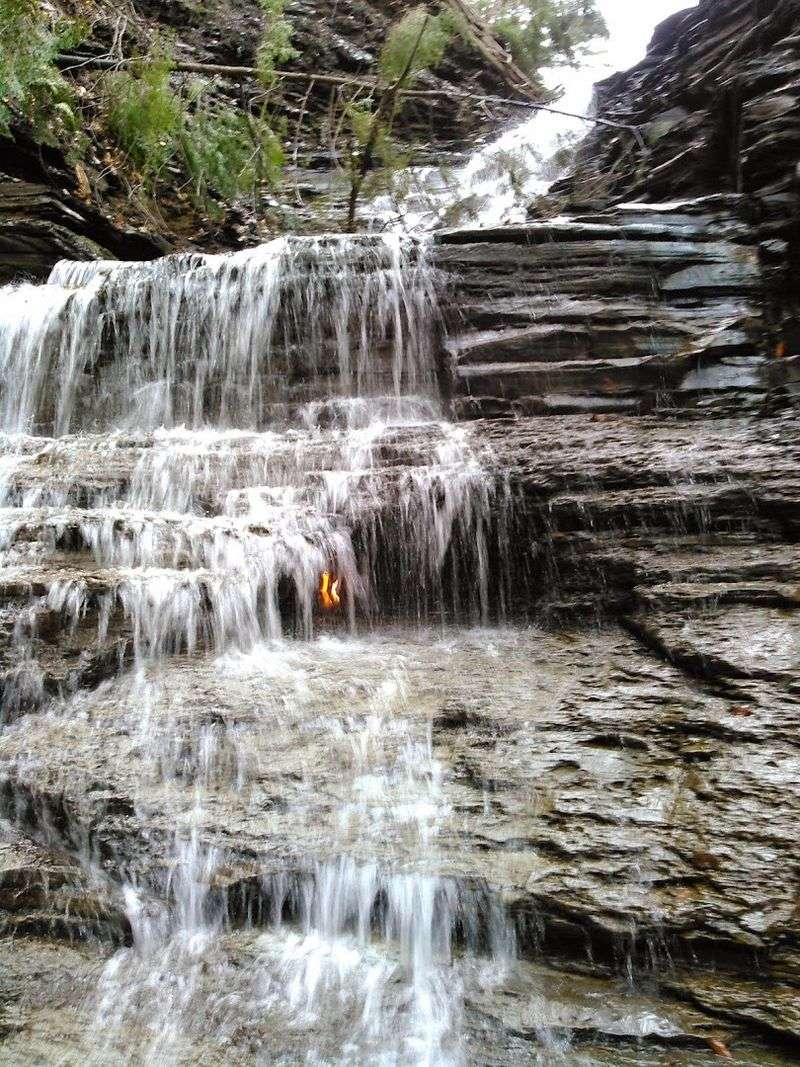 Chestnut Ridge Park
