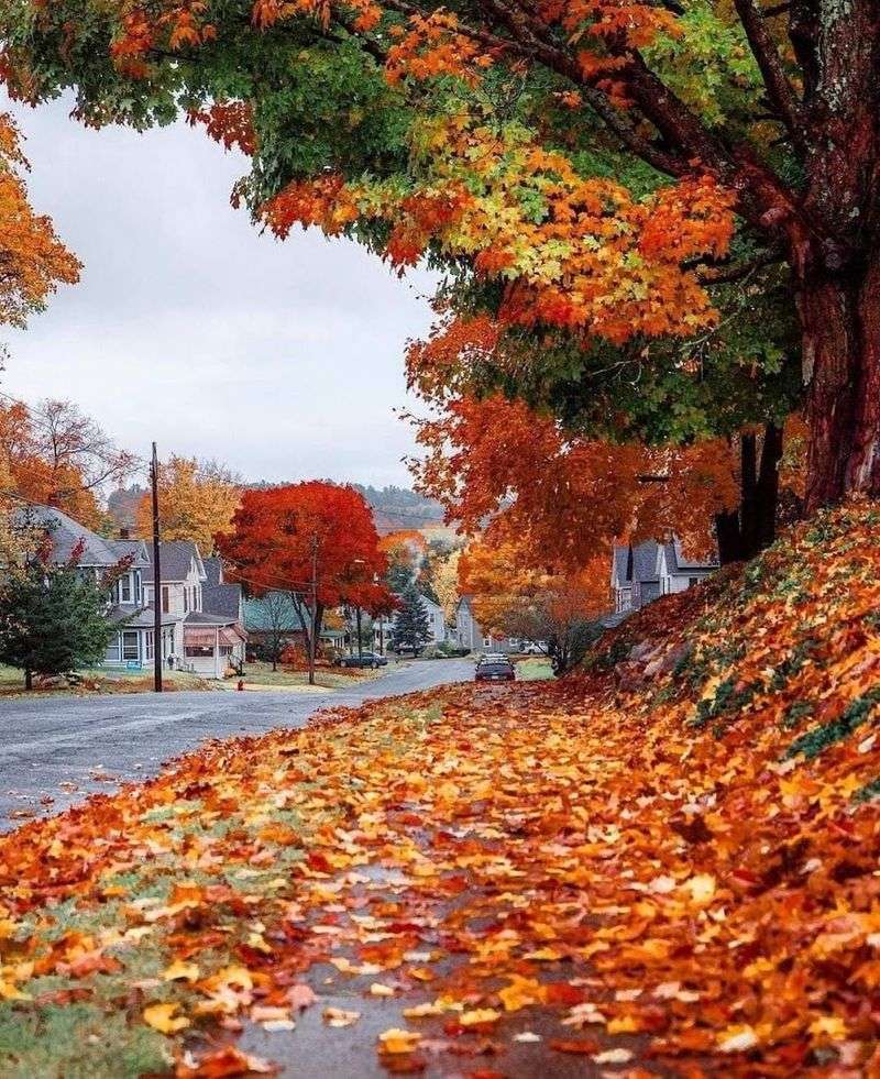 Dalton, The Berkshires