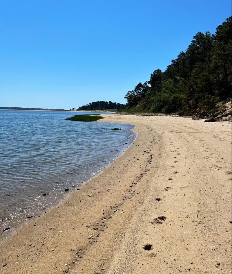 Great Island Trail, Wellfleet