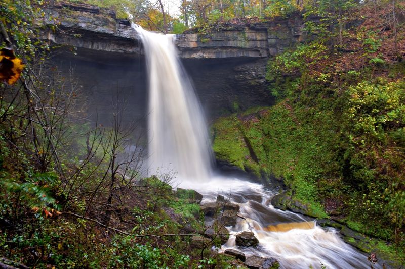 Bahar Preserve And Carpenter's Falls