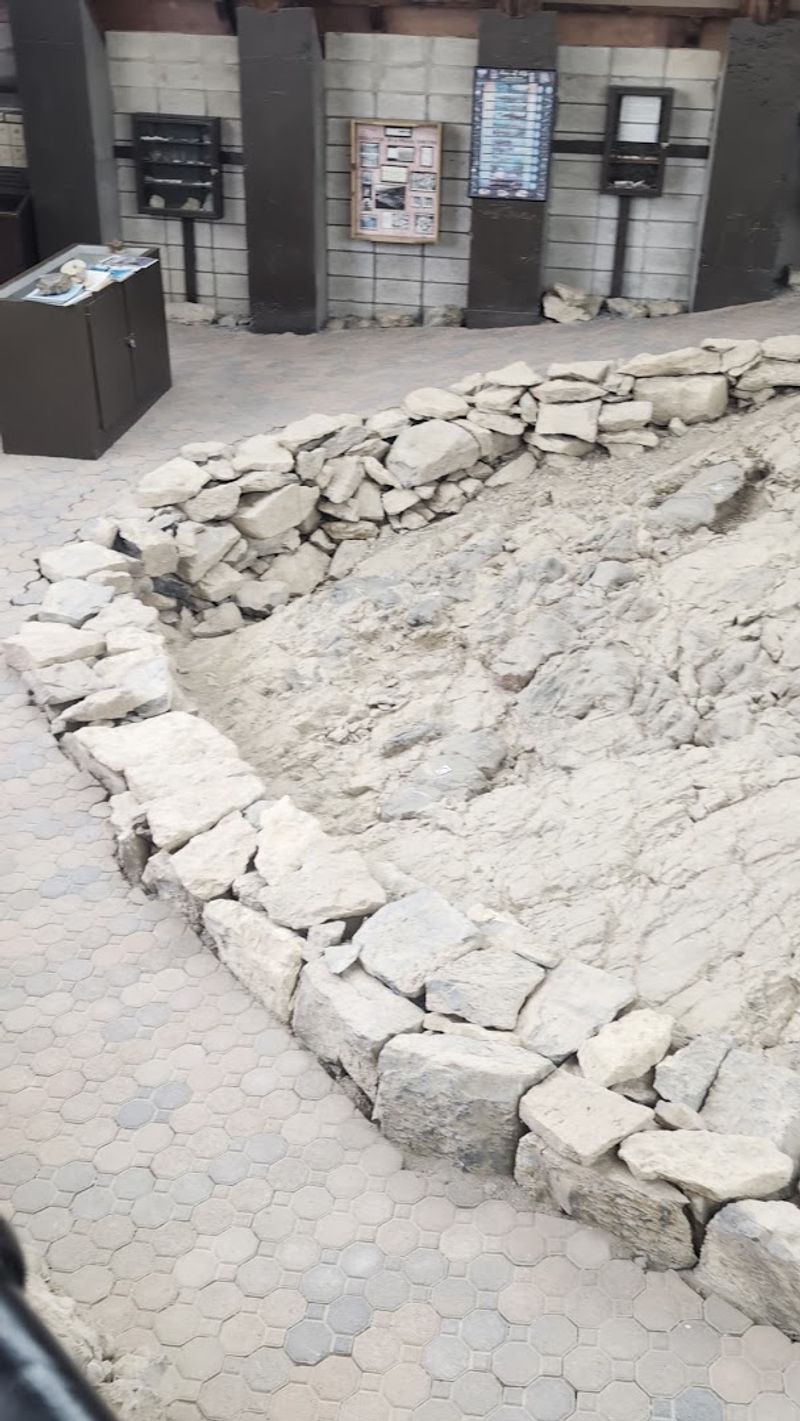 The Fossil House Lets Visitors See Bones Where They Were Found