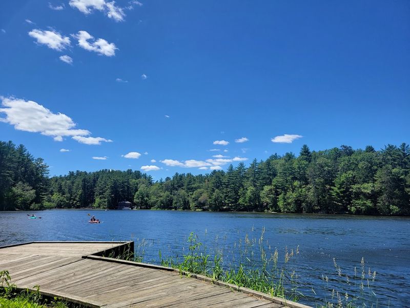 Birdwatching Opportunities Near The Water
