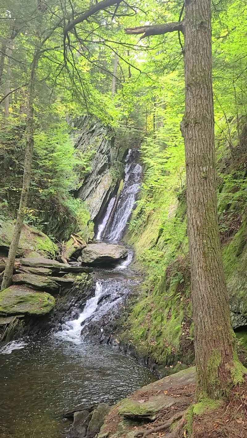 Savoy Mountain State Forest As A Broader Destination