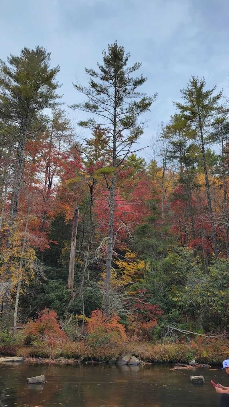 Seasonal Changes And Their Impact On The Scenery