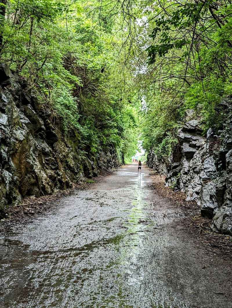 Why Families And Solo Adventurers Both Love This Trail