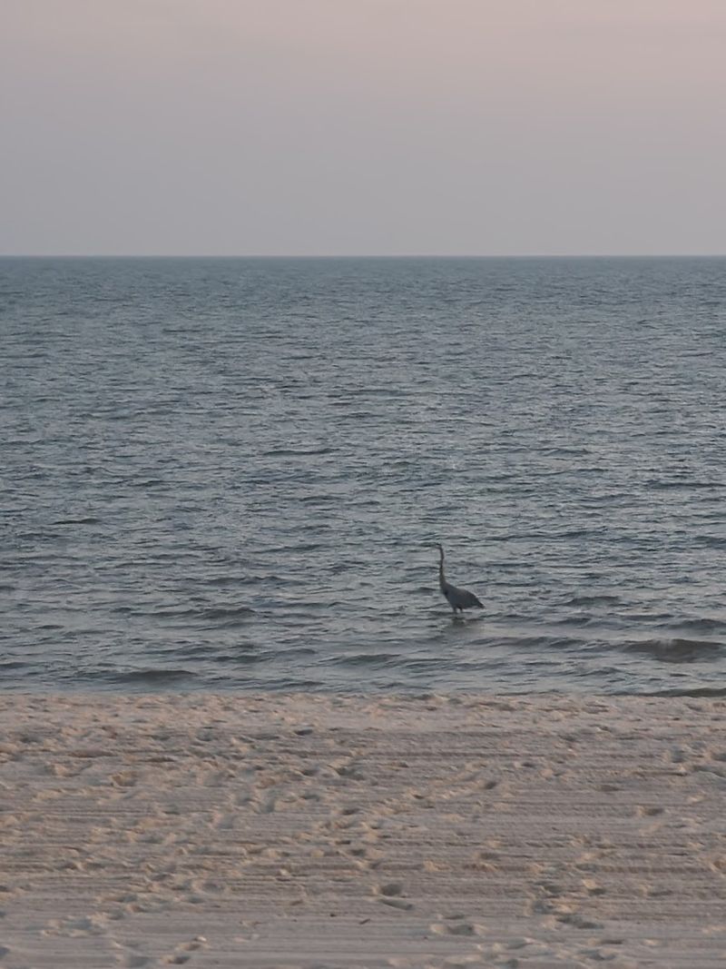 Bay St. Louis Beach