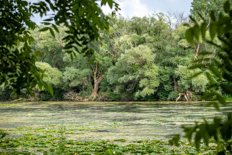 A Lakeside Observation Blind Gives Visitors A Quiet Viewpoint