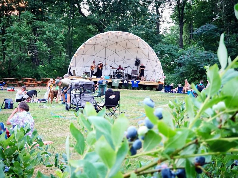 Live Music And Fire Pits Under An Open Sky