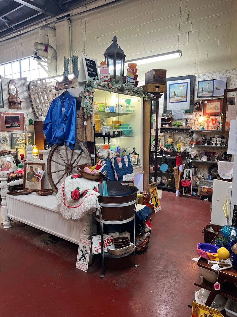 Shelves Full Of Surprising Finds