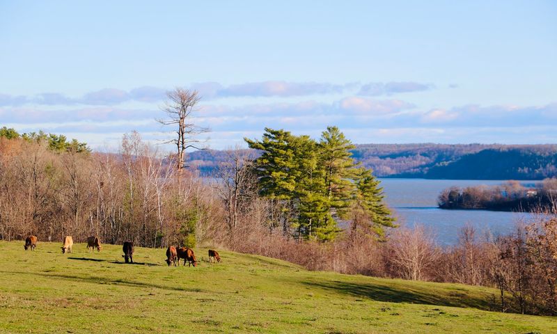 440 Acres Of Open Space And Sky
