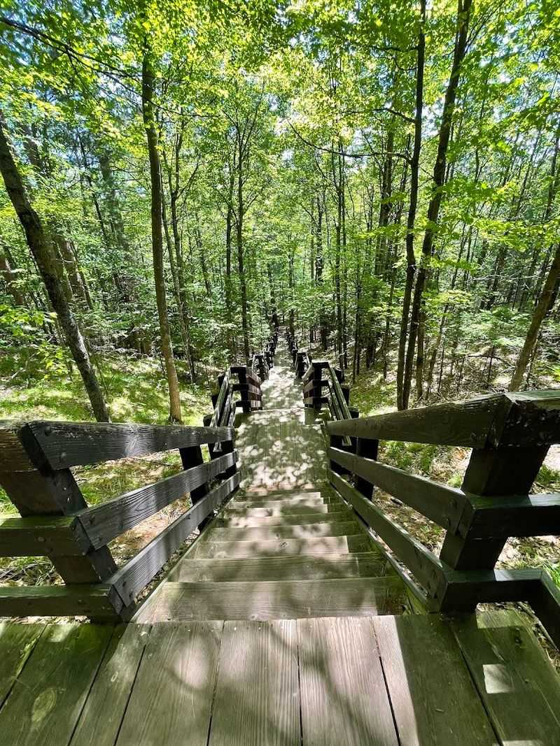 The Trail Follows The Bad River Gorge