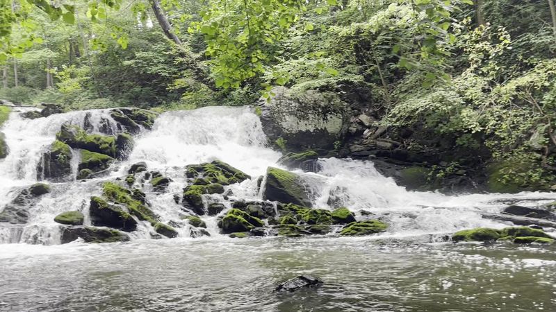 Zabriskie's Waterfall