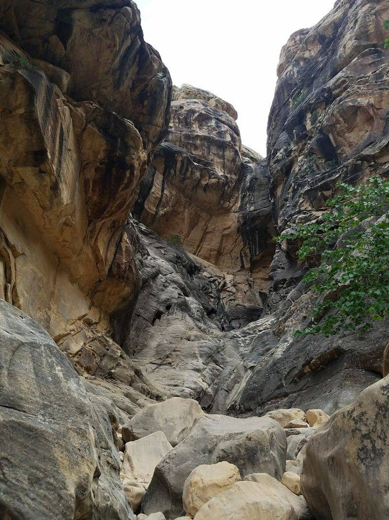 Ice Box Canyon Trail, Red Rock Canyon