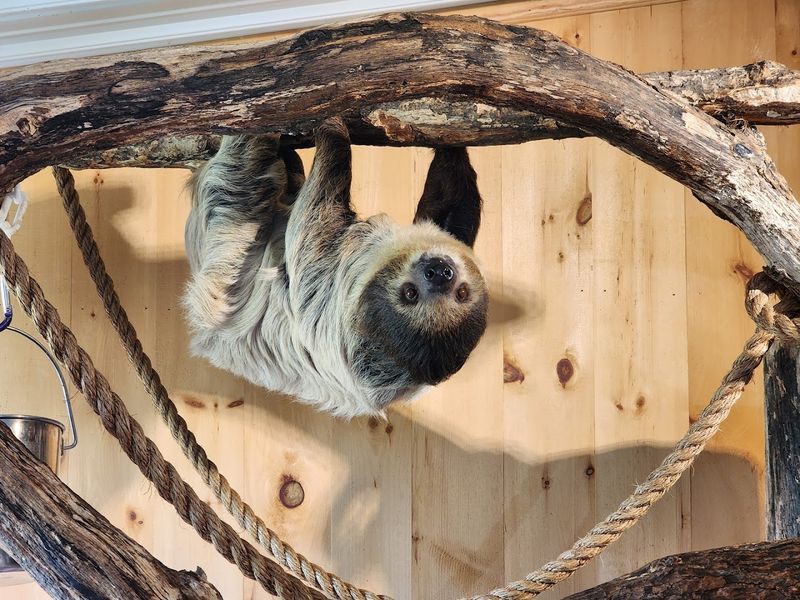 The Park Offers Close Animal Encounters For Families