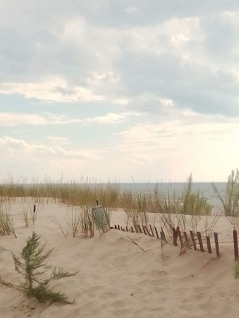 The Rare Coastal Sand Dunes Worth Exploring On Foot